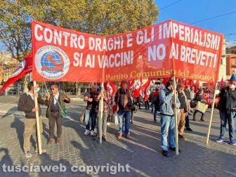 Roma - G20, corteo di manifestanti