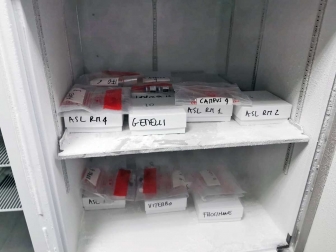 Covid, il Vaccine day nella Tuscia - Le dosi prima di arrivare a Belcolle