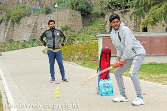 Cricket a Valle Faul
