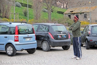 Cricket a Valle Faul
