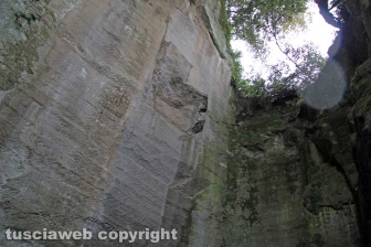 Da Israele per vedere la villa di madonna Cornelia