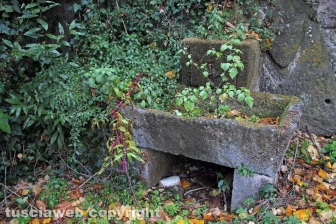 Da Israele per vedere la villa di madonna Cornelia