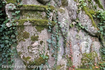 Da Israele per vedere la villa di madonna Cornelia