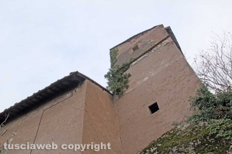 Da Israele per vedere la villa di madonna Cornelia