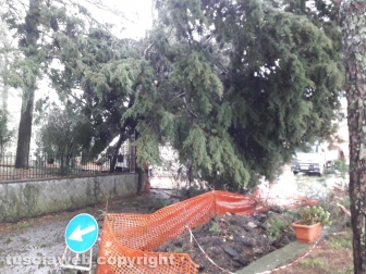 Maltempo - Montefiascone - Gli alberi caduti in località Cappuccini