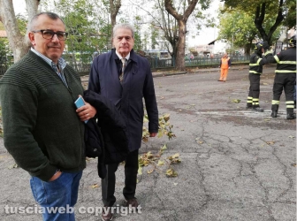 Viterbo - Albero caduto sulla Teverina - Il sindaco Arena e il vicesindaco Contardo sul posto