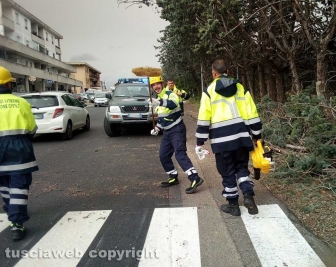 Viterbo - Via Garbini - Rami caduti - Protezione civile in azione