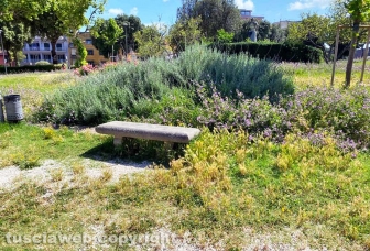 Viterbo - Degrado a pratogiardino Lucio Battisti