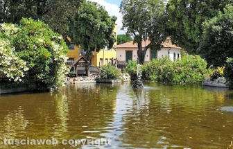 Viterbo - Degrado a pratogiardino Lucio Battisti - Il lago melmoso