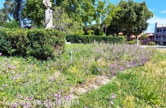 Viterbo - Degrado a pratogiardino Lucio Battisti