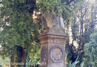 Viterbo - Degrado a pratogiardino Lucio Battisti - La testa della statua di Giuseppe Mazzini coperta dalla vegetazione