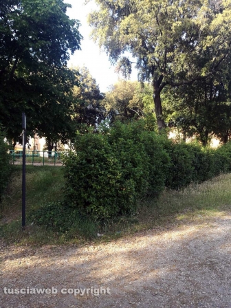 Viterbo - Degrado a pratogiardino Lucio Battisti