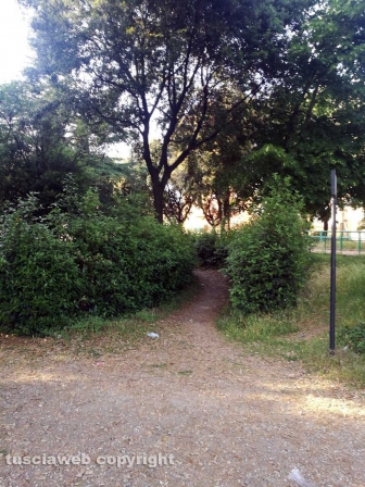 Viterbo - Degrado a pratogiardino Lucio Battisti