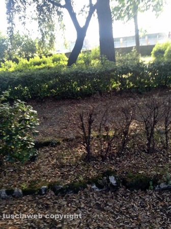 Viterbo - Degrado a pratogiardino Lucio Battisti