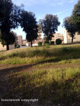 Viterbo - Degrado a pratogiardino Lucio Battisti