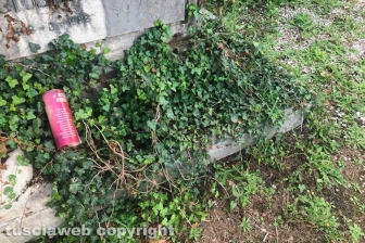 Viterbo - Degrado al cimitero di San Lazzaro