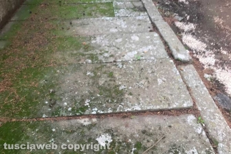 Viterbo - Degrado al cimitero di San Lazzaro