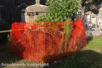 Viterbo - Degrado al cimitero di San Lazzaro