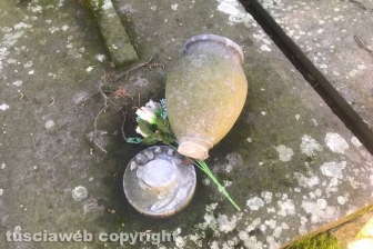 Viterbo - Degrado al cimitero di San Lazzaro
