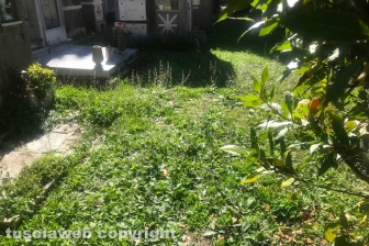 Viterbo - Degrado al cimitero di San Lazzaro