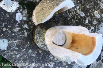 Viterbo - Degrado al cimitero di San Lazzaro