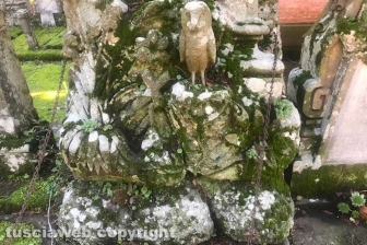 Viterbo - Degrado al cimitero di San Lazzaro