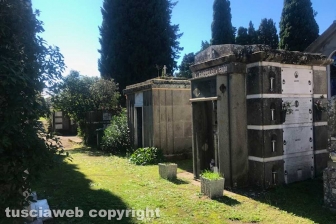 Viterbo - Degrado al cimitero di San Lazzaro