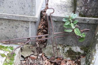 Viterbo - Degrado al cimitero San Lazzaro - La parte vecchia e monumentale