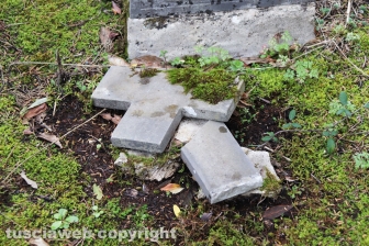 Viterbo - Degrado al cimitero San Lazzaro - La parte vecchia e monumentale