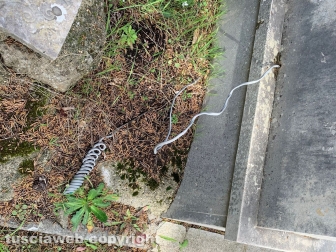 Viterbo - Degrado al cimitero San Lazzaro - La parte vecchia e monumentale