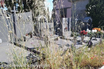 Montefiascone - Degrado al cimitero
