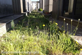 Montefiascone - Degrado al cimitero