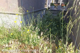 Montefiascone - Degrado al cimitero