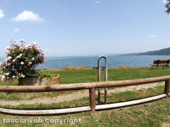 I cestini rotti sul lungolago di Montefiascone