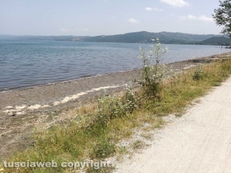 Le erbacce sul lungolago di Montefiascone