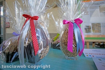 Degustando la Pasqua