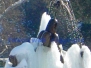 Deturpata la Fontana dei mori a Villa Lante