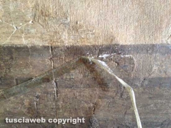 Viterbo - Deturpato un affresco alla Sala Regia