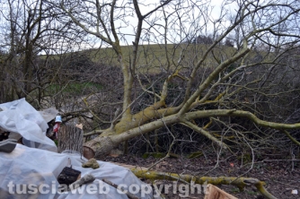 Farnese - Devastato il terreno dell\'ex sindaco  Pomarè