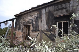 Farnese - Devastato il terreno dell\'ex sindaco  Pomarè