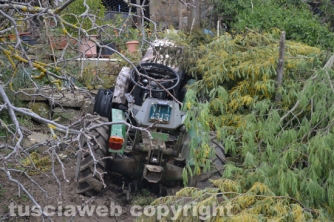 Farnese - Devastato il terreno dell\'ex sindaco  Pomarè