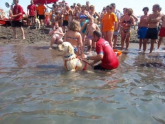 Dimostrazione in acqua dei cani bagnino del Nucs, Nucleo unità cinofile salvataggio della prociv Vulci 1 di Montalto di Castro
