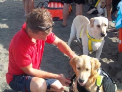 Dimostrazione in acqua dei cani bagnino del Nucs, Nucleo unità cinofile salvataggio della prociv Vulci 1 di Montalto di Castro