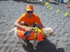 Dimostrazione in acqua dei cani bagnino del Nucs, Nucleo unità cinofile salvataggio della prociv Vulci 1 di Montalto di Castro