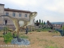 Dinosauri in carne e ossa