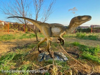Dinosauri, l'inaugurazione