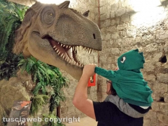 Dinosauri, ultima chiamata