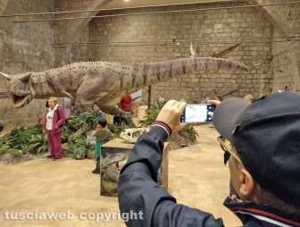 Dinosauri, ultima chiamata