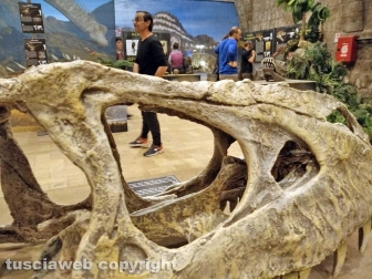 Dinosauri, ultima chiamata