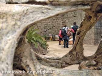 Dinosauri, ultima chiamata